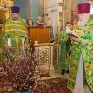 Вход Господень в Иерусалим 2018