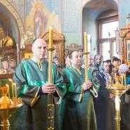 Вход Господень в Иерусалим 2019