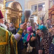 Вербное Воскресенье 2016