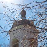 IMG_8366.jpg